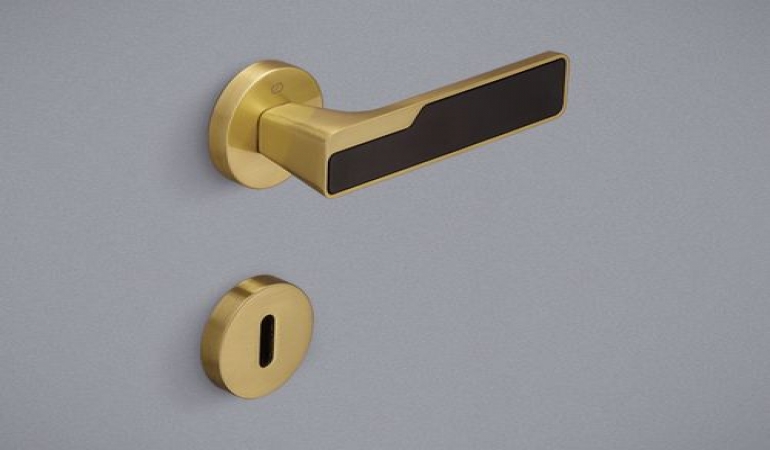 Çebi Pro 572 Modern Kapı Kolu